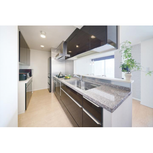 シティタワーズ豊洲ザツインサウスタワー その他画像