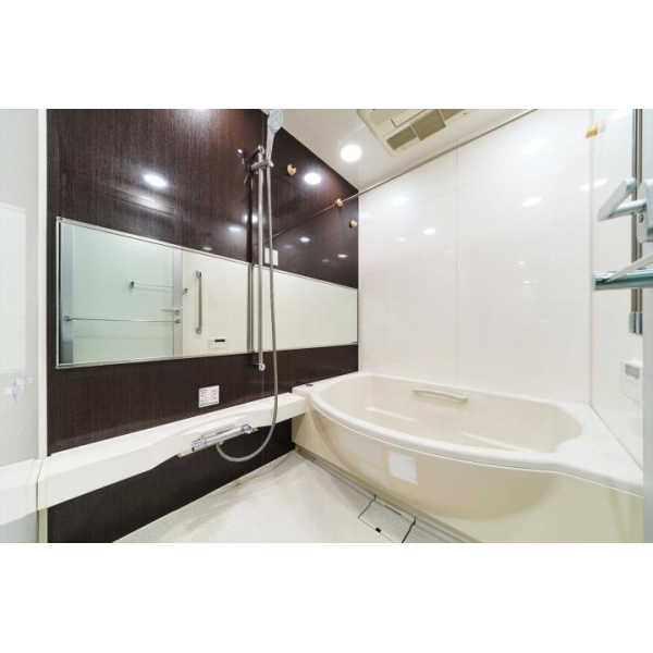 シティタワーズ豊洲ザツインサウスタワー その他画像