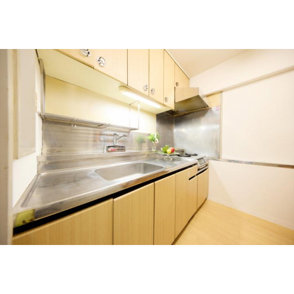 南砂町グリーンハイツ1号棟 その他画像