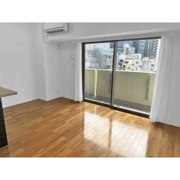 アデニウム新橋 その他画像