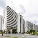 SHINTO CITY　III街区F棟 外観