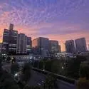 Ｍ．Ｍ．ＴＯＷＥＲＳ　ＦＯＲＥＳＩＳ　Ｌ棟 その他画像