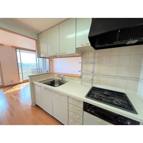 ルネヒューマンズガーデン鶴見 その他画像