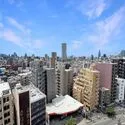 ドルチェ東新宿 眺望