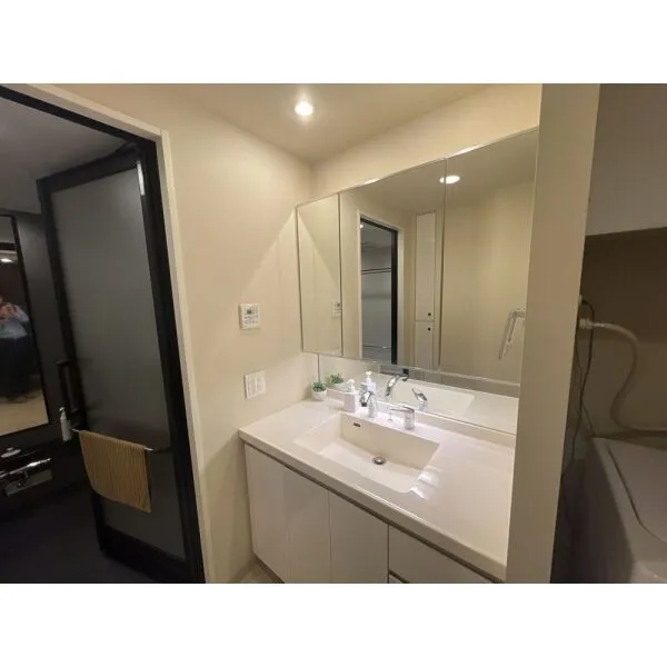 THE SAKAE RESIDENCE 洗面