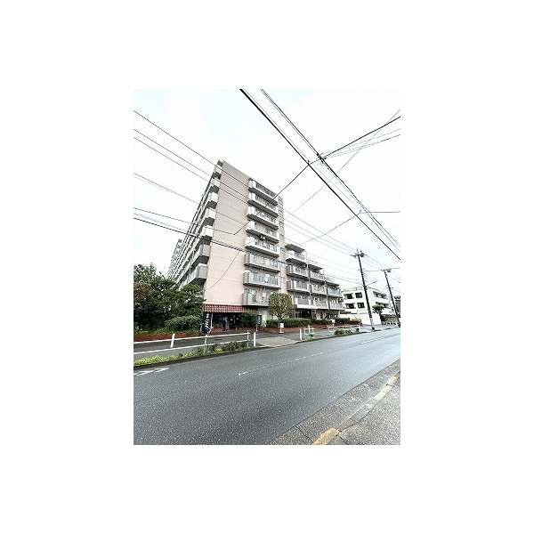 蓮根サンパワー その他画像