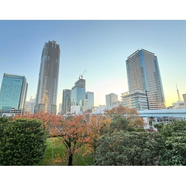 東京ツインパークスライトウイング バルコニーからの眺望