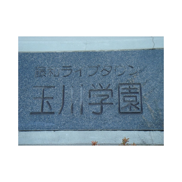藤和ライブタウン玉川学園 その他画像