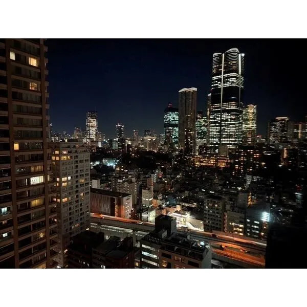 シティタワー麻布十番 ~住戸からの眺望(夜景)~
