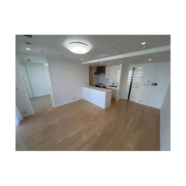 Ｍ．Ｍ．　ＴＯＷＥＲＳ　ＦＯＲＥＳＩＳ その他画像