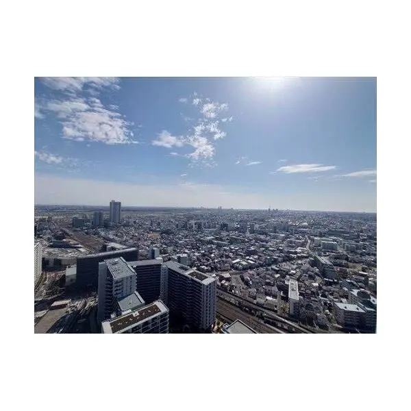 シティタワー金町 その他画像