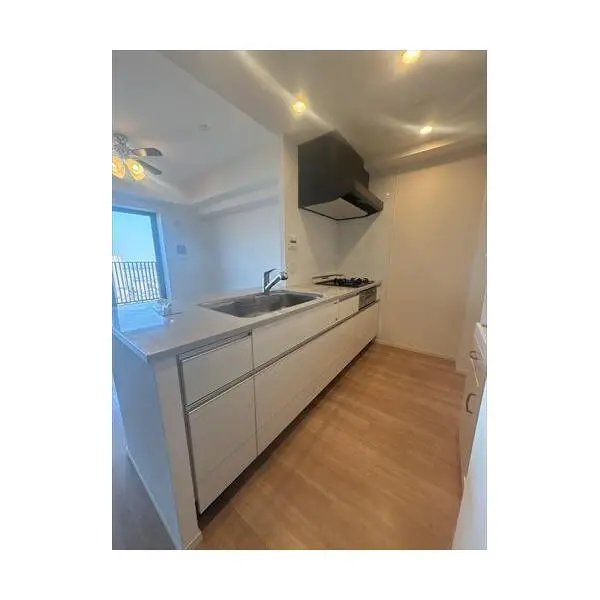 シティタワー金町 その他画像