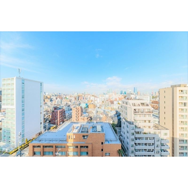 シティハウス恵比寿伊達坂 その他画像