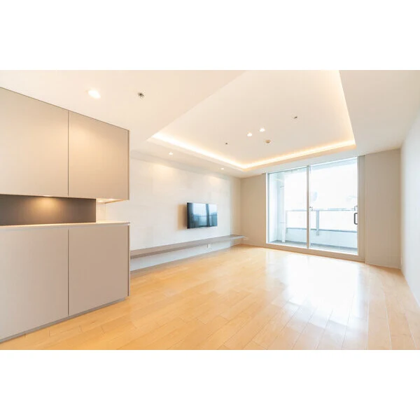 白金タワータワー棟 その他画像