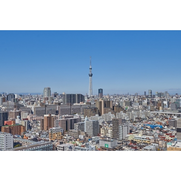 ライオンズタワー大島 その他画像