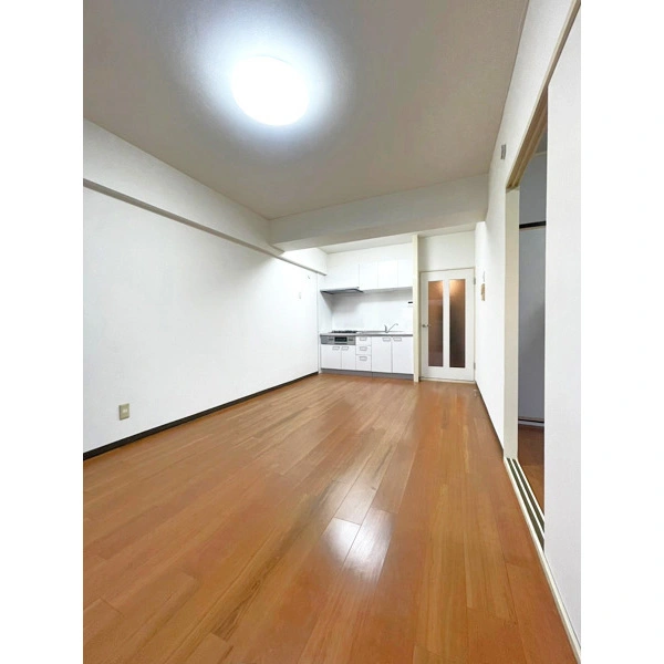 アイビハイツ柴又 その他画像