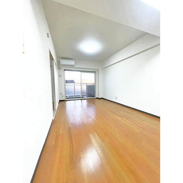 アイビハイツ柴又 その他画像