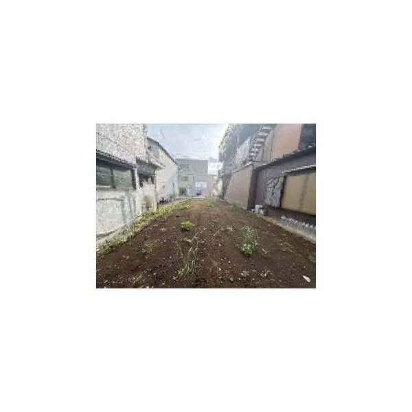 葛飾区立石２丁目 現地（２０２６年７月撮影）