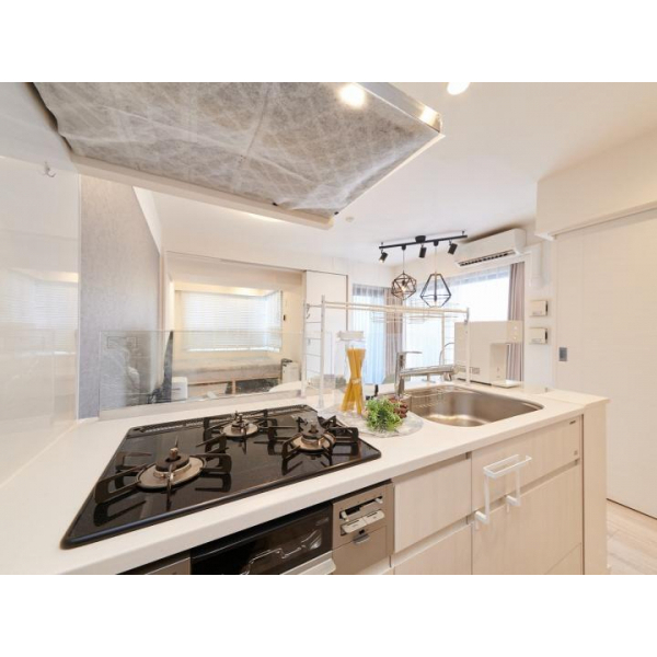 ライオンズ東京三ノ輪ミレス その他画像