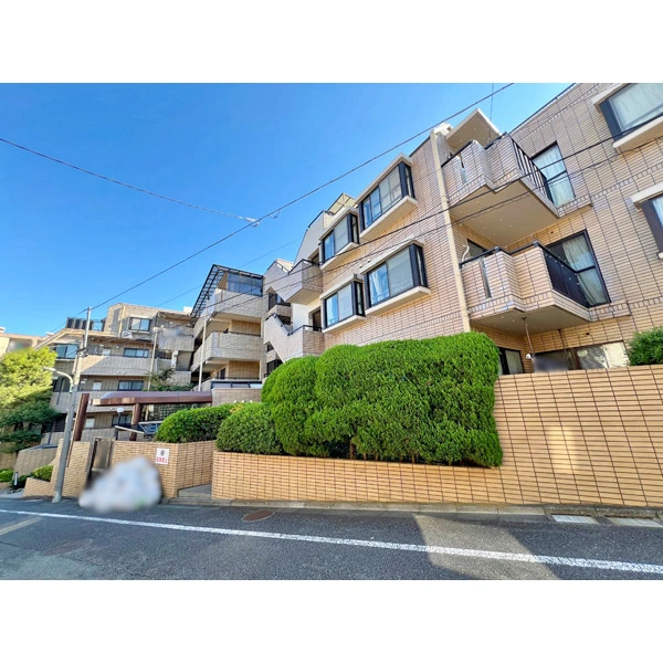 グリーンキャピタル上池台 その他画像