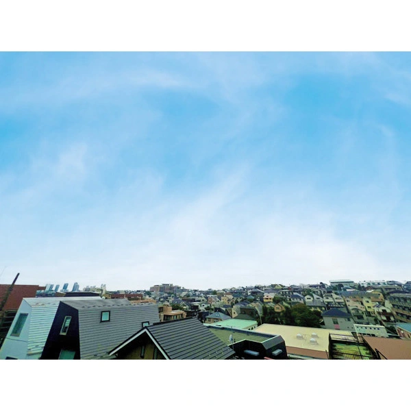 グリーンキャピタル上池台 その他画像