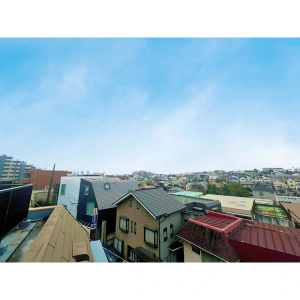 グリーンキャピタル上池台 その他画像