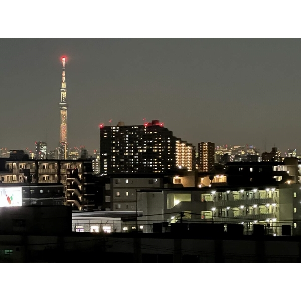 ライオンズガーデン金町 その他画像