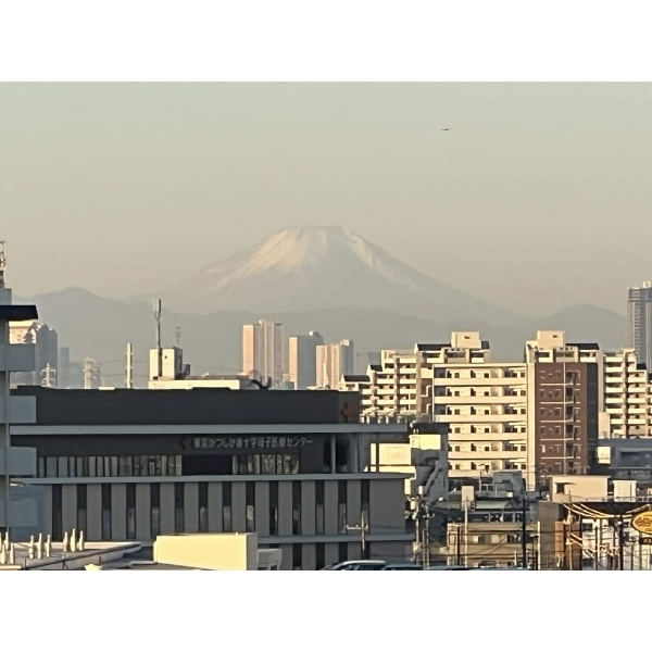 ライオンズガーデン金町 その他画像