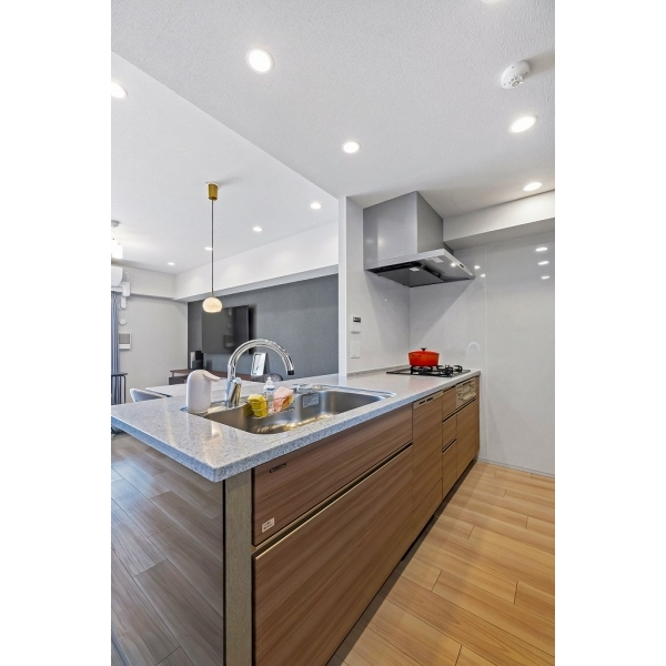 セントガーデン海老名ＩＩ街区 その他画像