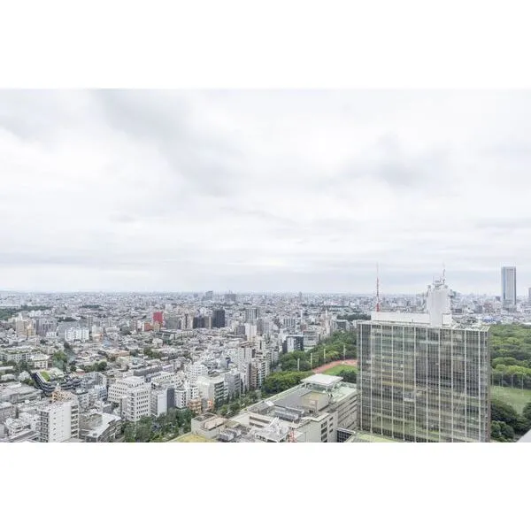 パークコート渋谷ザタワー バルコニーからの眺望