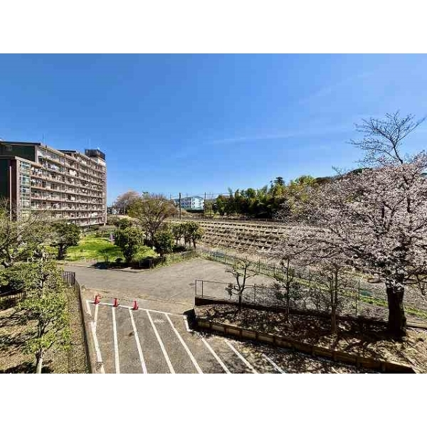 藤和天王台ハイタウン３号棟 その他画像