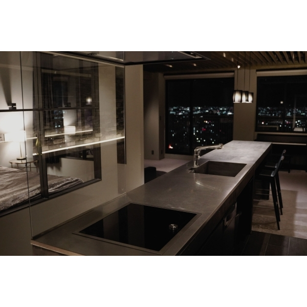 ザ・シーン城北アストロタワー その他画像