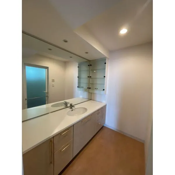 アイムふじみ野タワー西館 洗面室