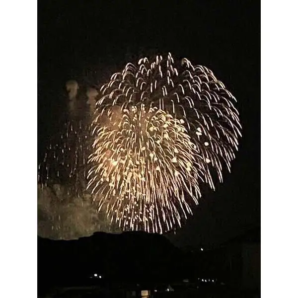 若宮ハイツ その他画像