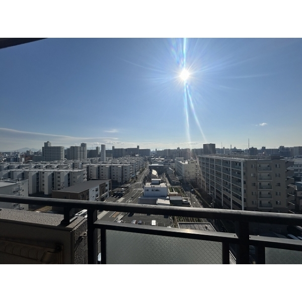 ルイシャトレ平野 外観