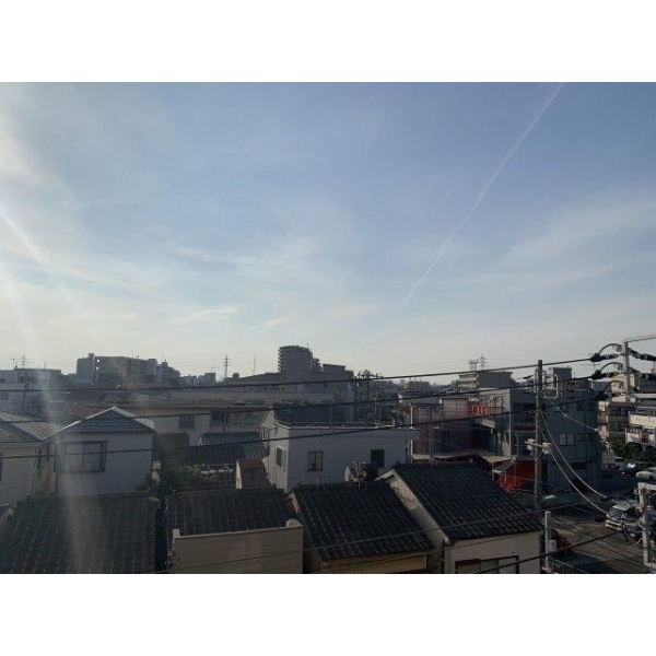 マンハイム白鳥 その他画像