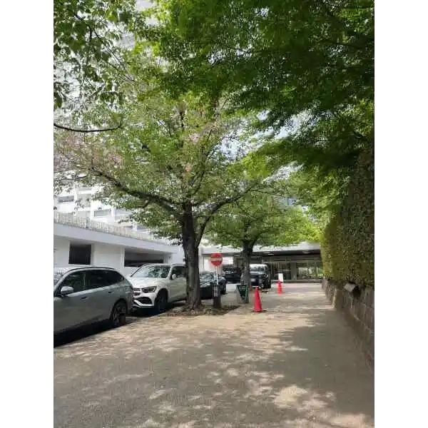 三田綱町パークマンション アプローチ