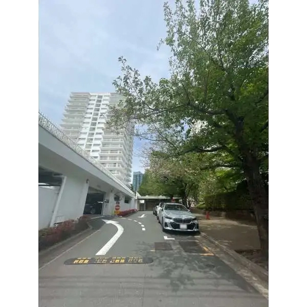 三田綱町パークマンション アプローチ