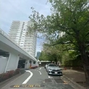 三田綱町パークマンション アプローチ
