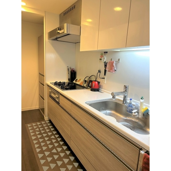 ブランズ川口栄町パークフロント その他画像