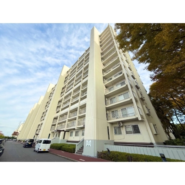 志木ニュータウン中央の森参番街八号棟 外観