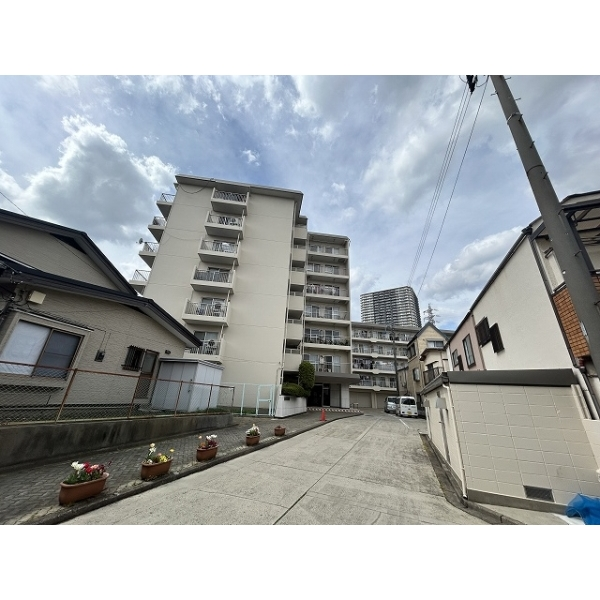 金町スカイハイツ その他画像