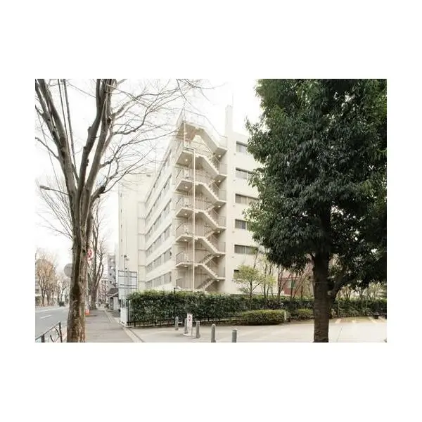 千歳マンション その他画像