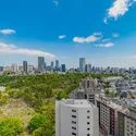 青山ザ・タワー 眺望：ズームなし