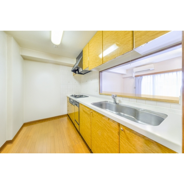 ライオンズシティ御茶ノ水 その他画像