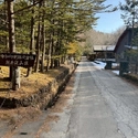 北佐久郡軽井沢町大字軽井沢 前面道路