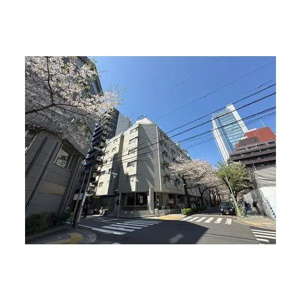 グレイス五反田 その他画像