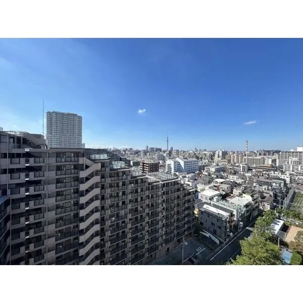 イトーピア東大島マンシヨン バルコニーからはスカイツリーが望めます