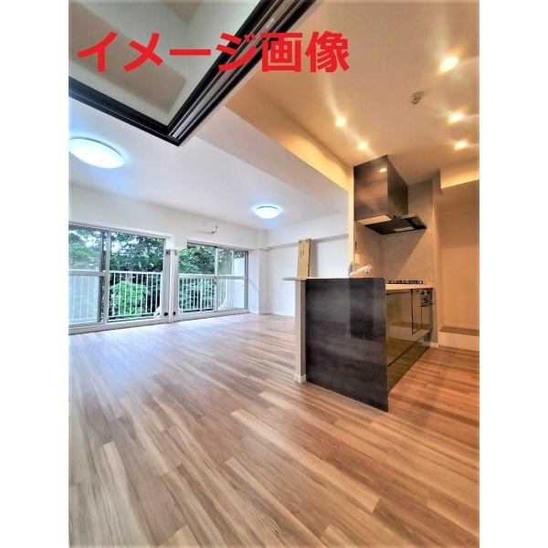 津田沼スカイハイツ その他画像