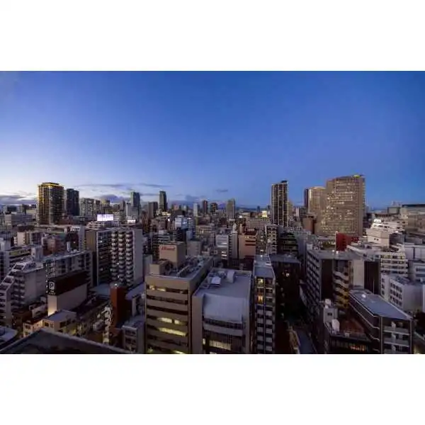 グランドメゾン上町台レジデンスタワー その他画像